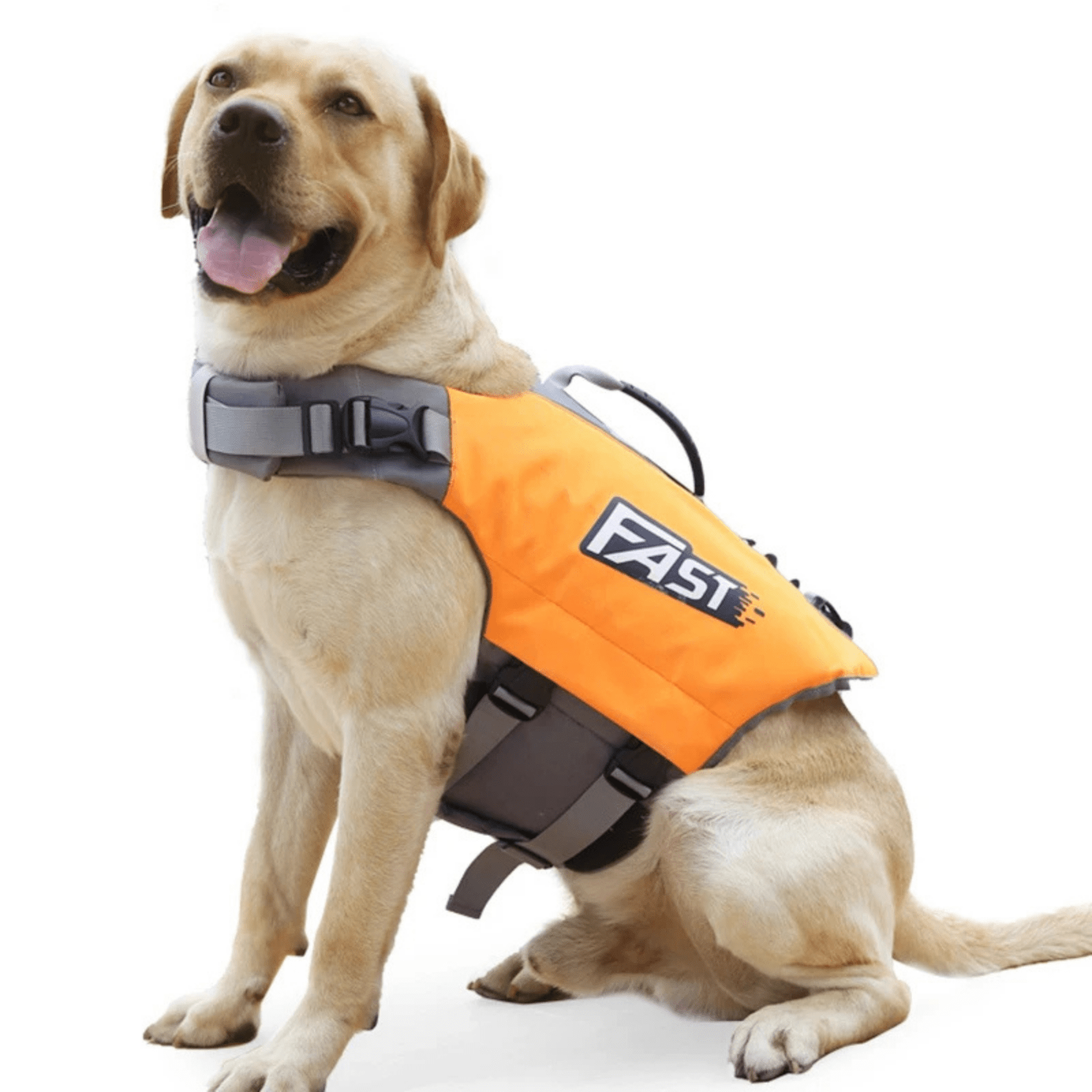 Ultimate Fast Zwemvest voor Honden - Duke & Scoop
