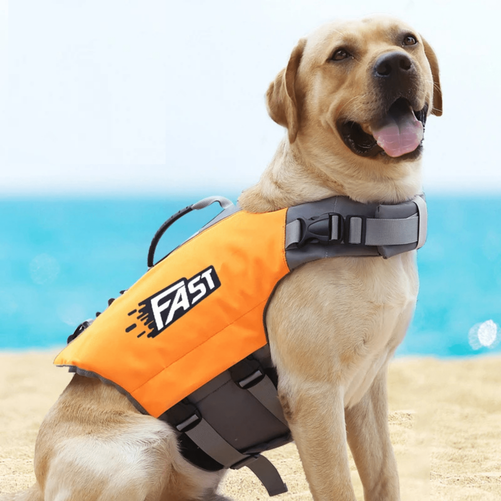 Ultimate Fast Zwemvest voor Honden - Duke & Scoop