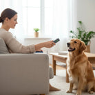 Ultrasone Hondenafschrikker – Zwart – LED - indicator – USB oplaadbaar – Hondentrainer – Anti - blaf apparaat - Duke & Scoop