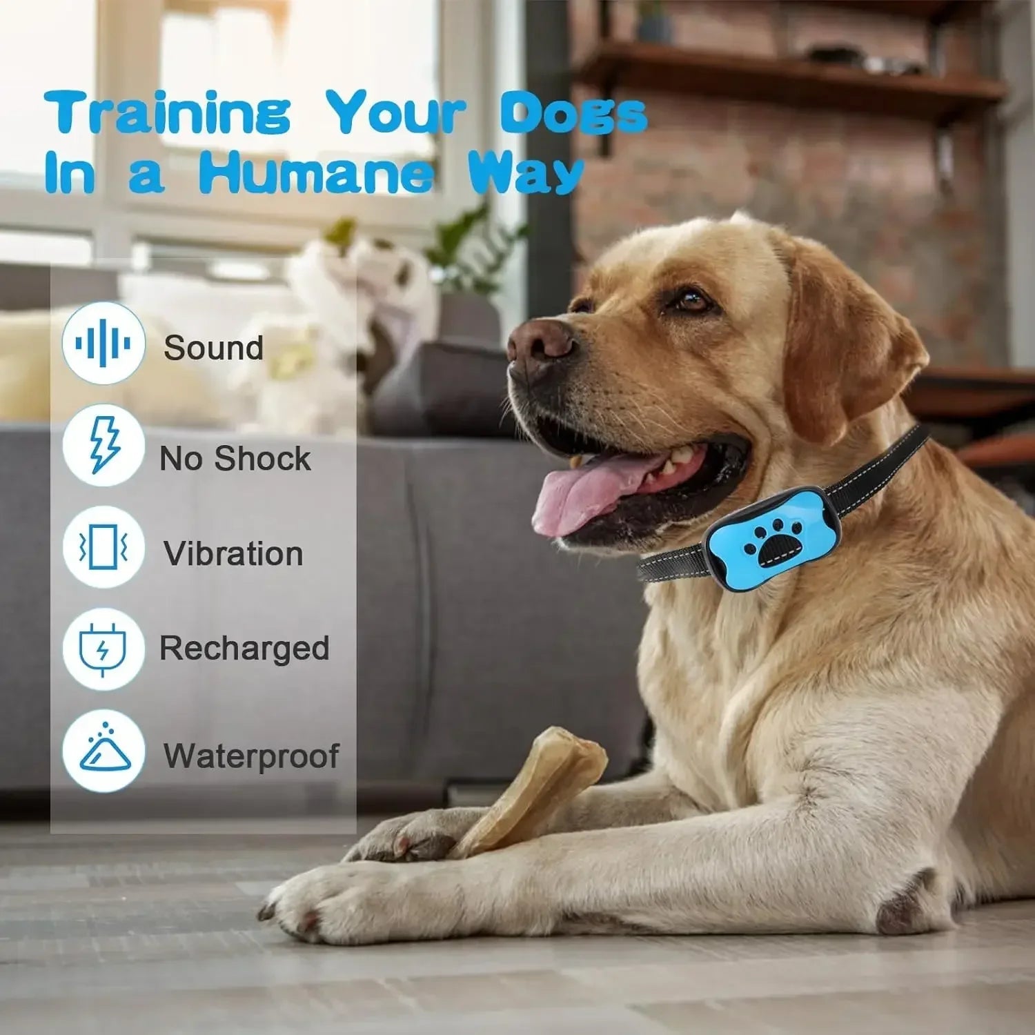 USB Oplaadbare Anti - Blaftrainer - Duke & Scoop