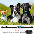 USB Oplaadbare Anti - Blaftrainer - Duke & Scoop