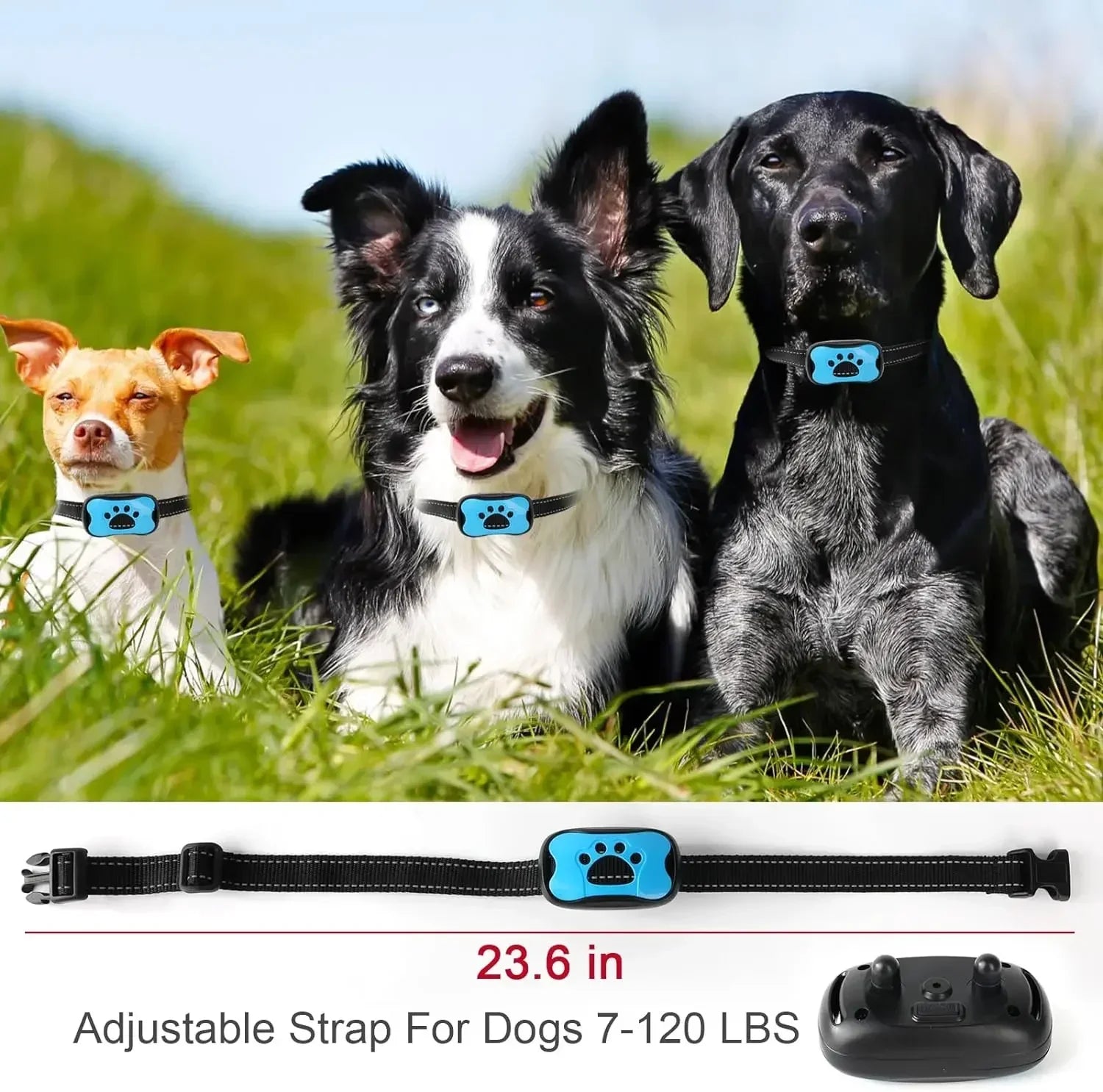 USB Oplaadbare Anti - Blaftrainer - Duke & Scoop