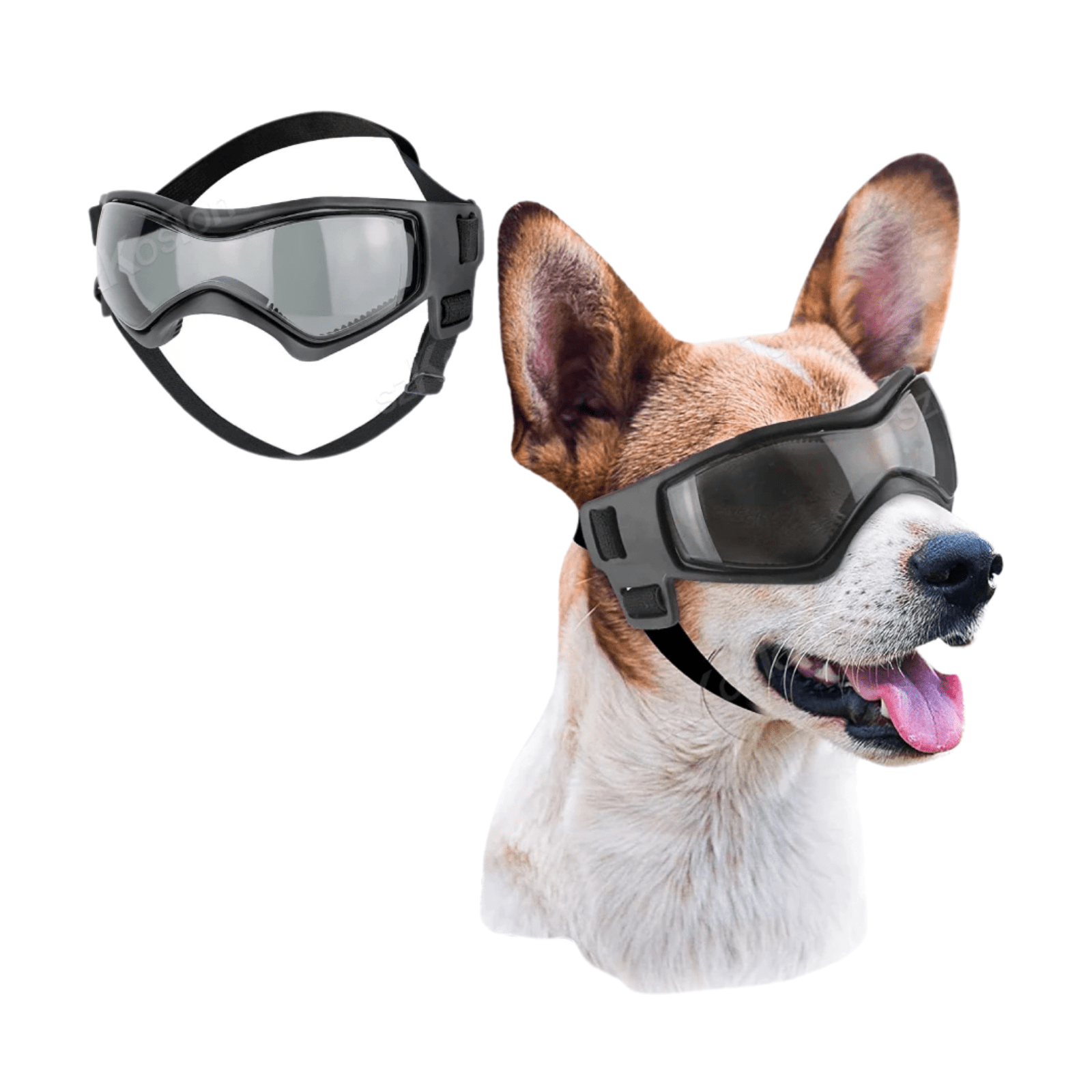 UV - beschermende Zonnebril voor Hond & Kat - Duke & Scoop