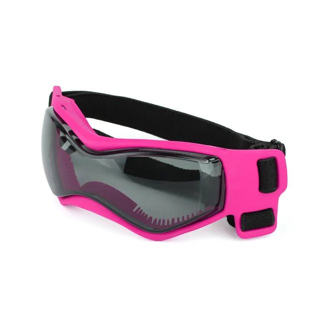 UV - beschermende Zonnebril voor Hond & Kat - Duke & Scoop