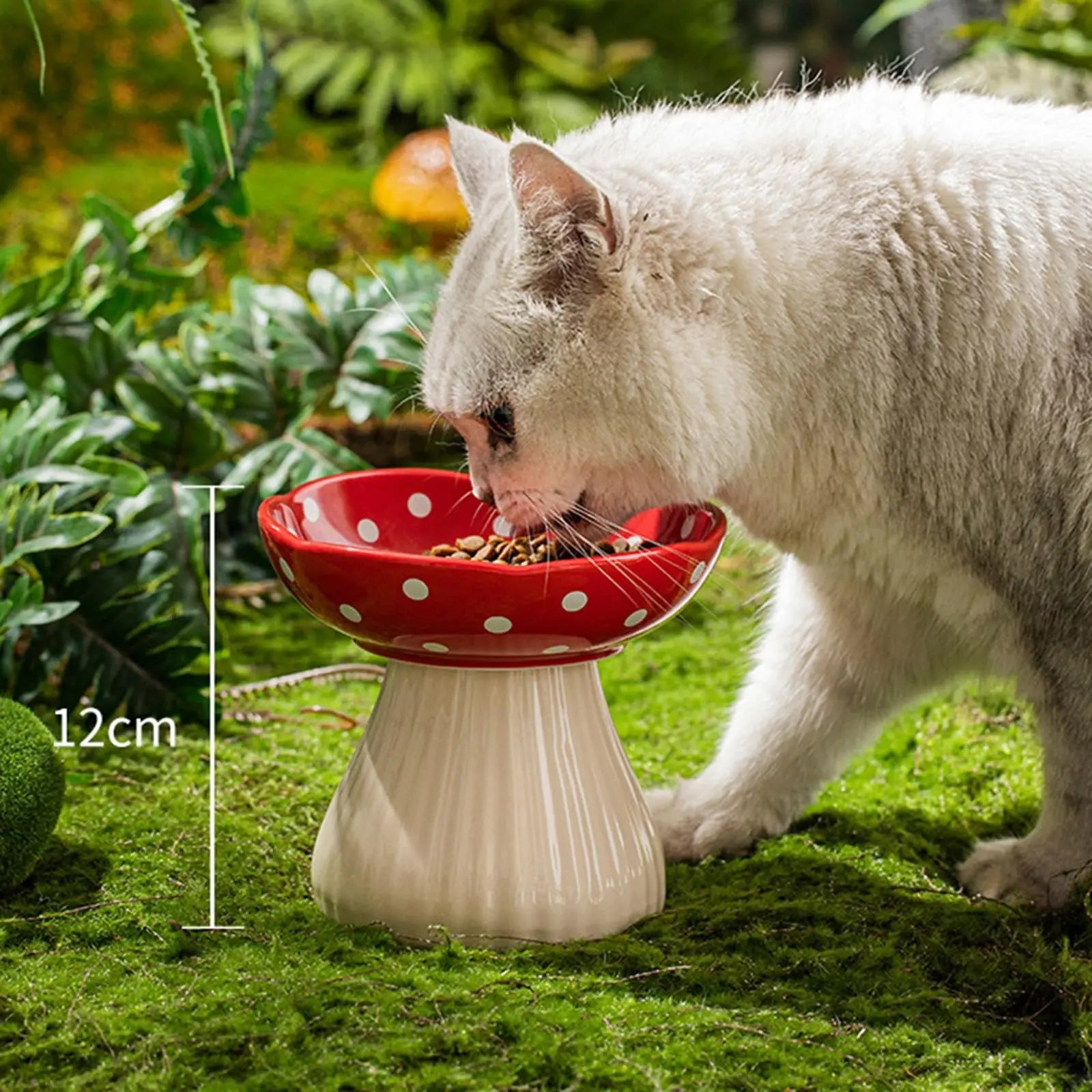 Verhoogde Keramische Kattenvoerbak - Paddenstoelvorm - Duke & Scoop