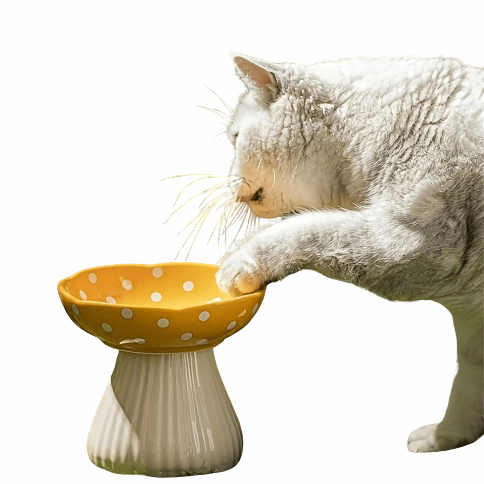 Verhoogde Keramische Kattenvoerbak - Paddenstoelvorm - Duke & Scoop