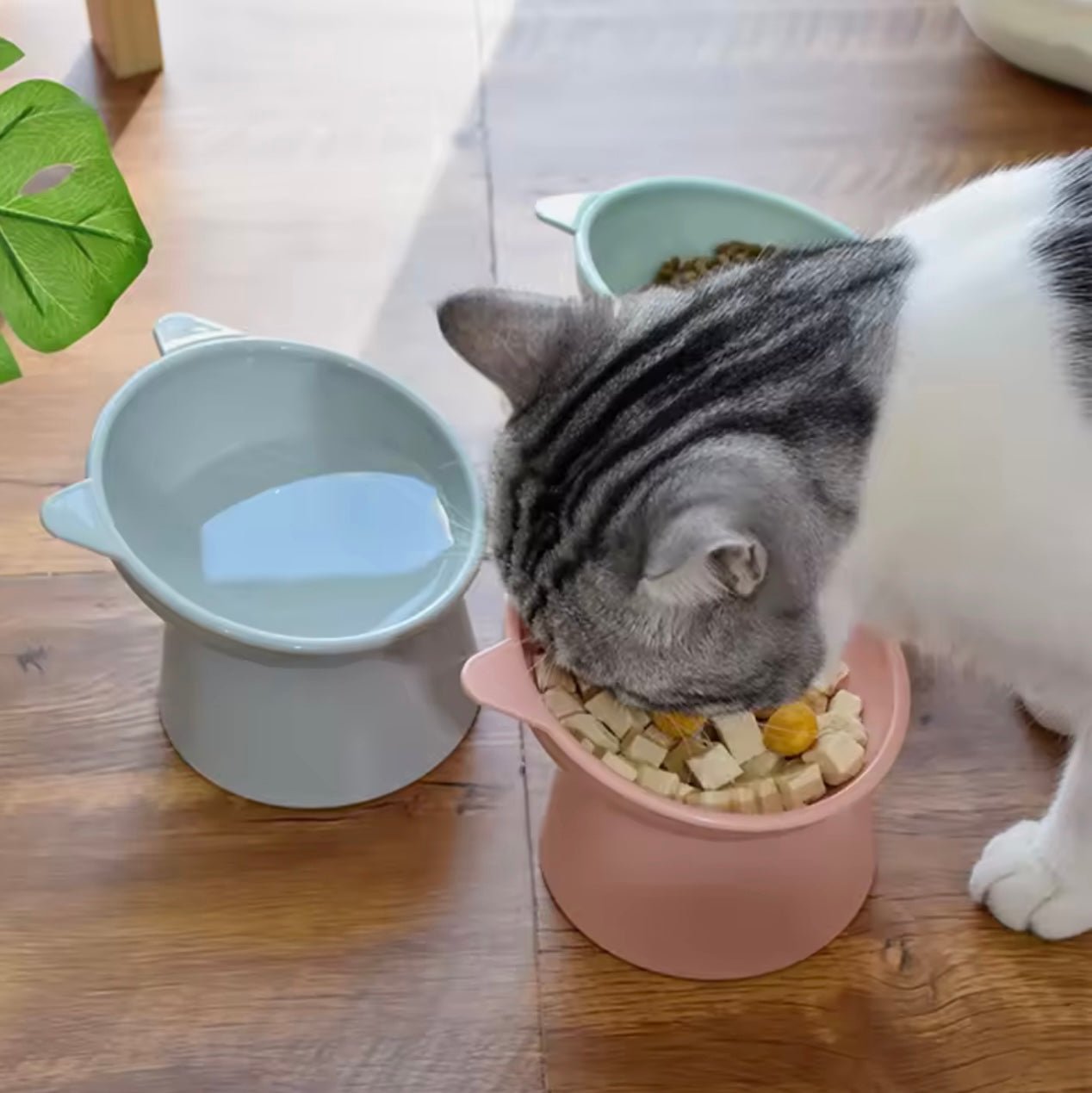 Verhoogde Voerbak met Oortjes - Duke & Scoop