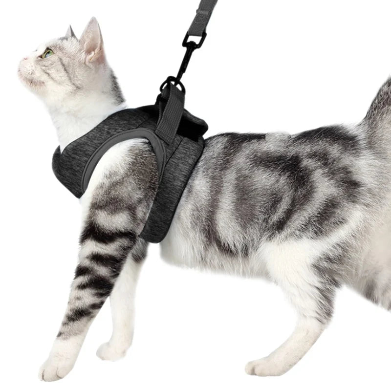 Verstelbaar Harnas & Riem Set - Duke & Scoop