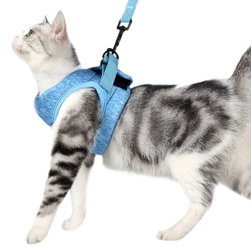 Verstelbaar Harnas & Riem Set - Duke & Scoop