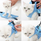 Verstelbaar Harnas & Riem Set - Duke & Scoop