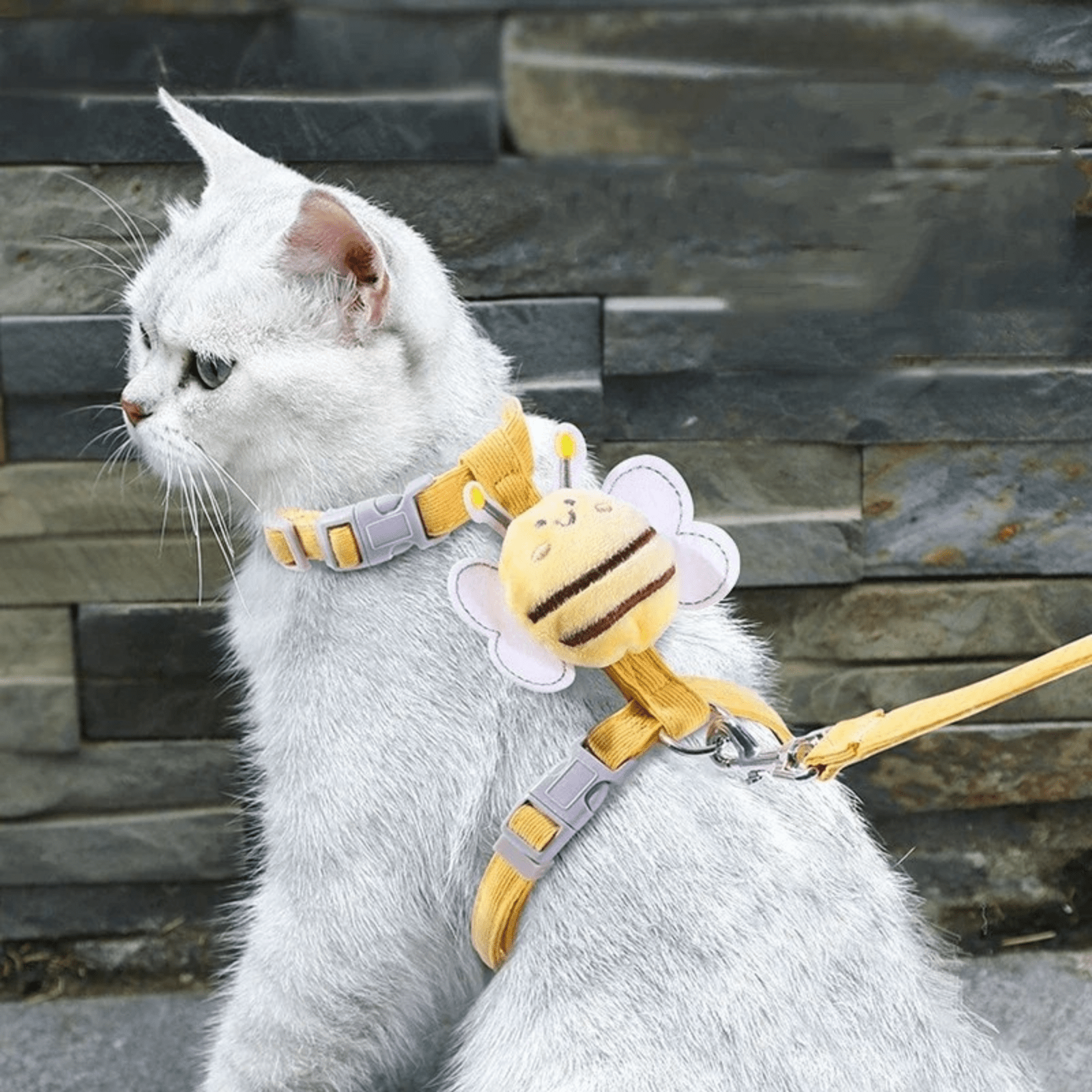 Verstelbaar Kattenharnas & Lijn Set - Duke & Scoop