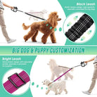 Verstelbare Duo Hondenriem met Comfortabele Bungee - Duke & Scoop