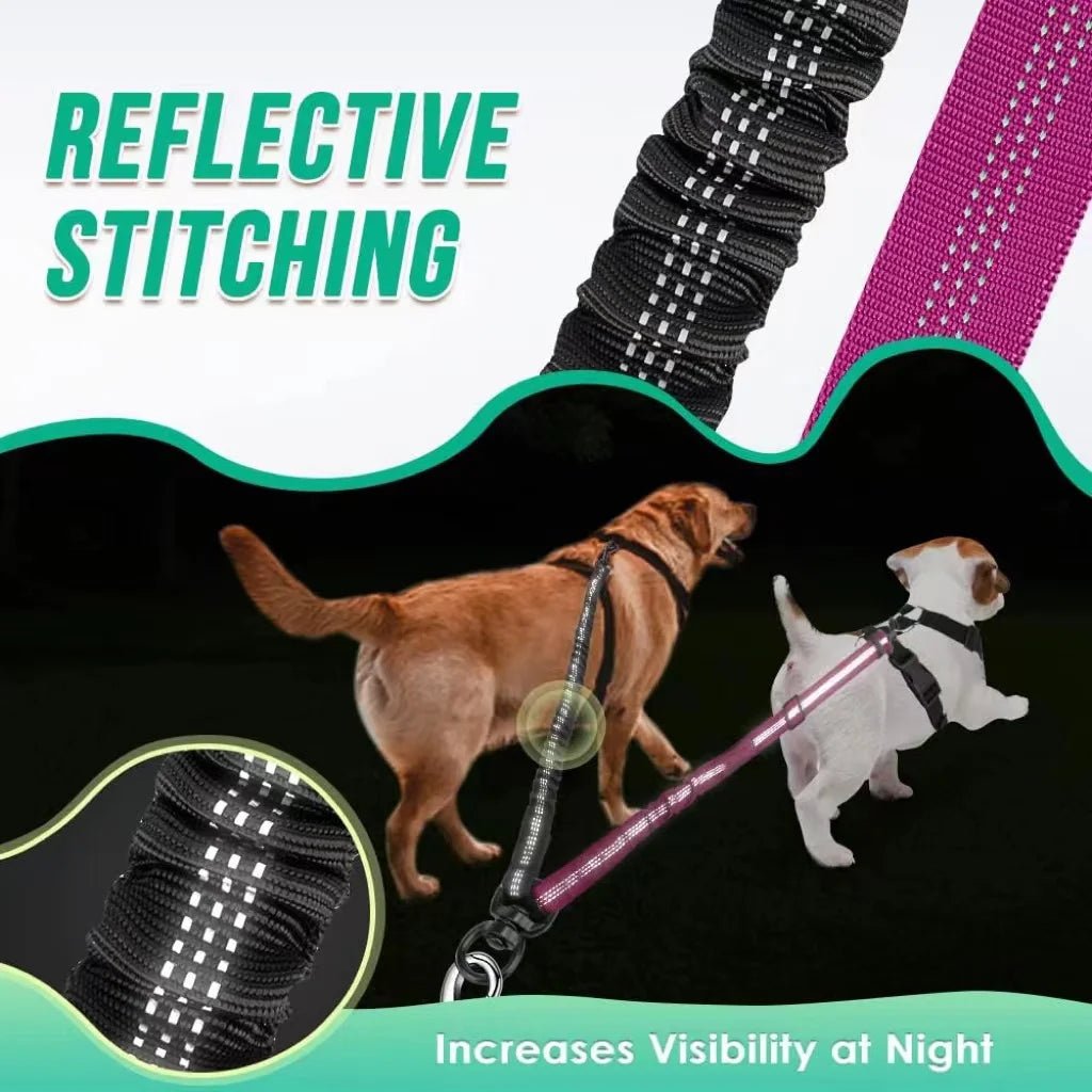 Verstelbare Duo Hondenriem met Comfortabele Bungee - Duke & Scoop