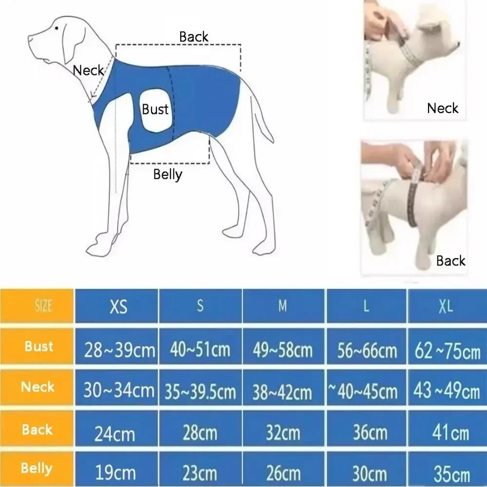 Verstelbare Honden Draagband voor Ondersteuning - Duke & Scoop