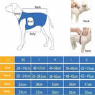 Verstelbare Honden Draagband voor Ondersteuning - Duke & Scoop