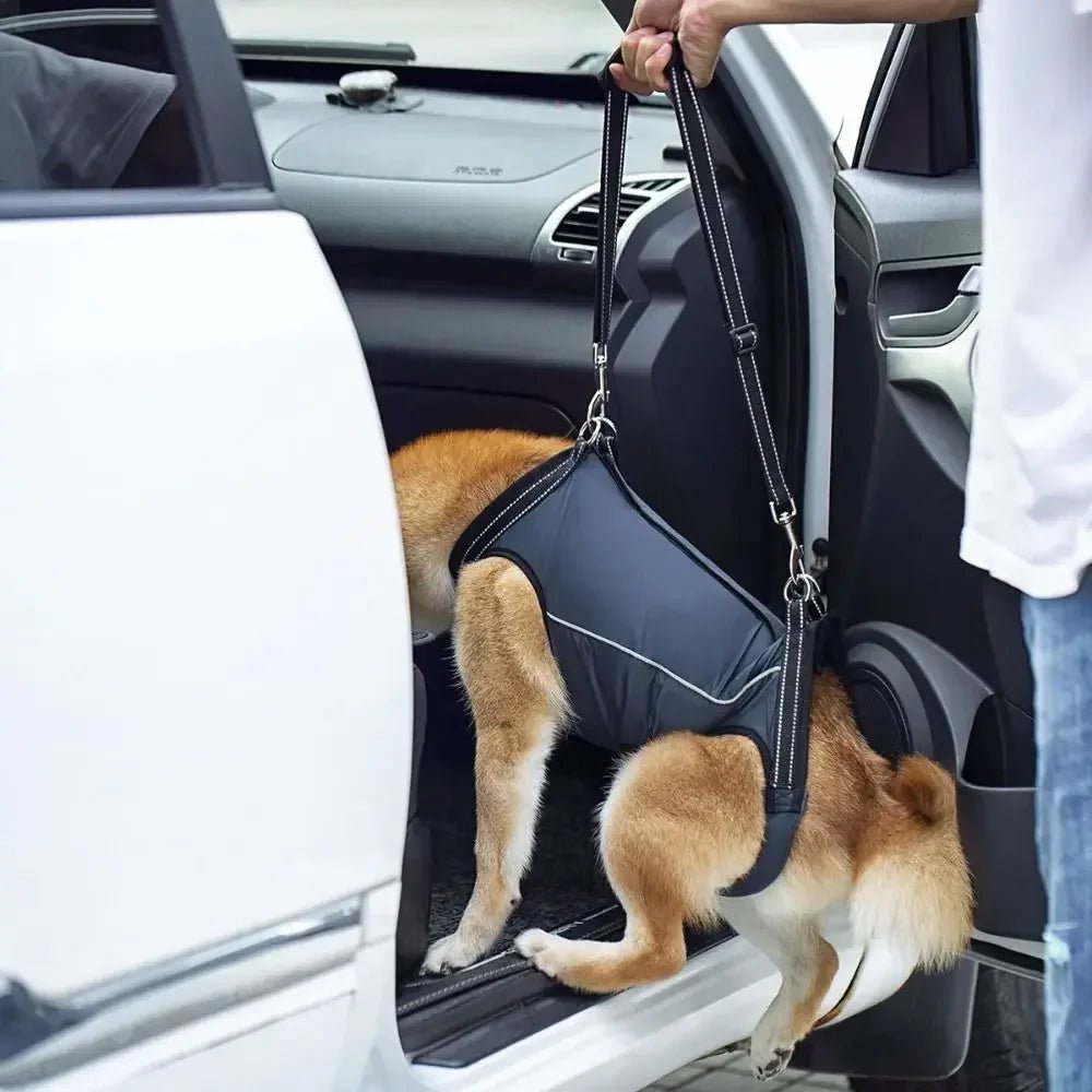 Verstelbare Honden Draagband voor Ondersteuning - Duke & Scoop