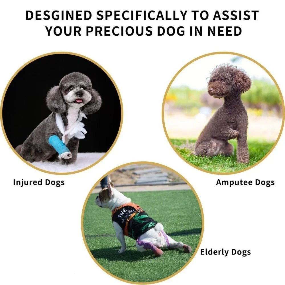 Verstelbare Honden Draagband voor Ondersteuning - Duke & Scoop