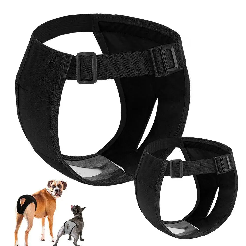 Verstelbare Hygiënebroek voor Honden - Duke & Scoop