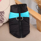 Warme Winterjas voor Honden - Duke & Scoop