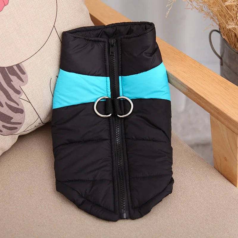 Warme Winterjas voor Honden - Duke & Scoop