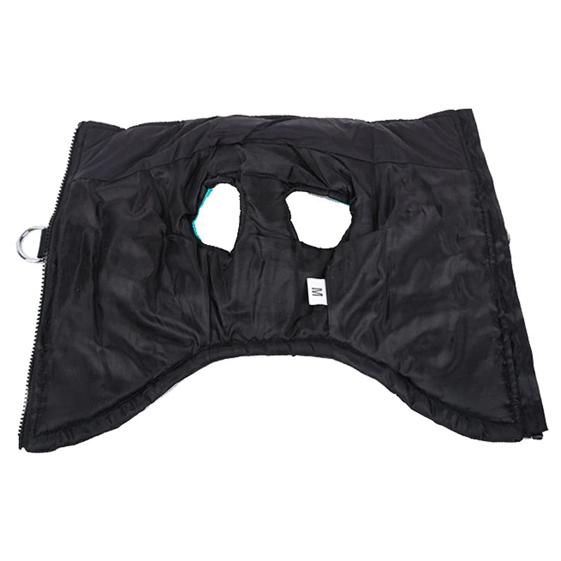 Warme Winterjas voor Honden - Duke & Scoop
