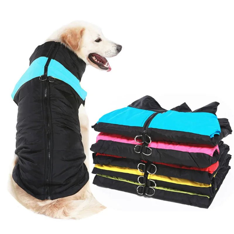 Warme Winterjas voor Honden - Duke & Scoop