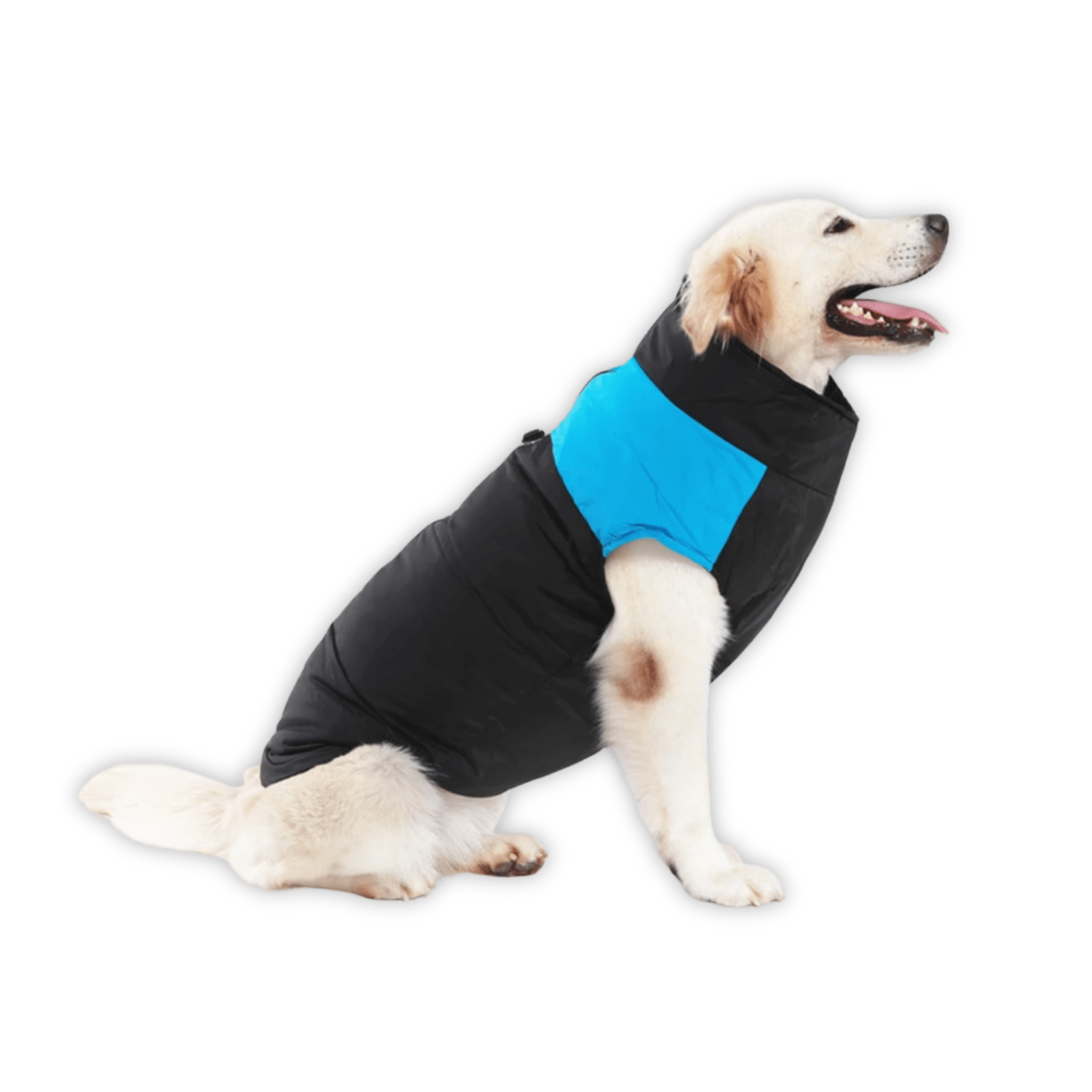 Warme Winterjas voor Honden - Duke & Scoop