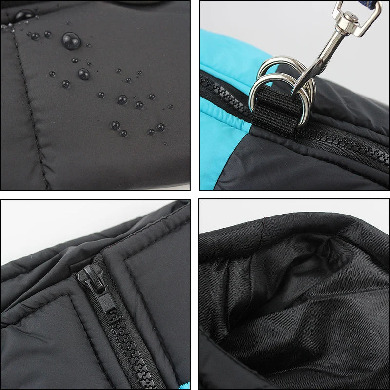 Warme Winterjas voor Honden - Duke & Scoop
