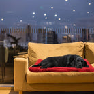 Waterdicht Huisdierkussen – Binnen & Buiten Hondenbed - Duke & Scoop
