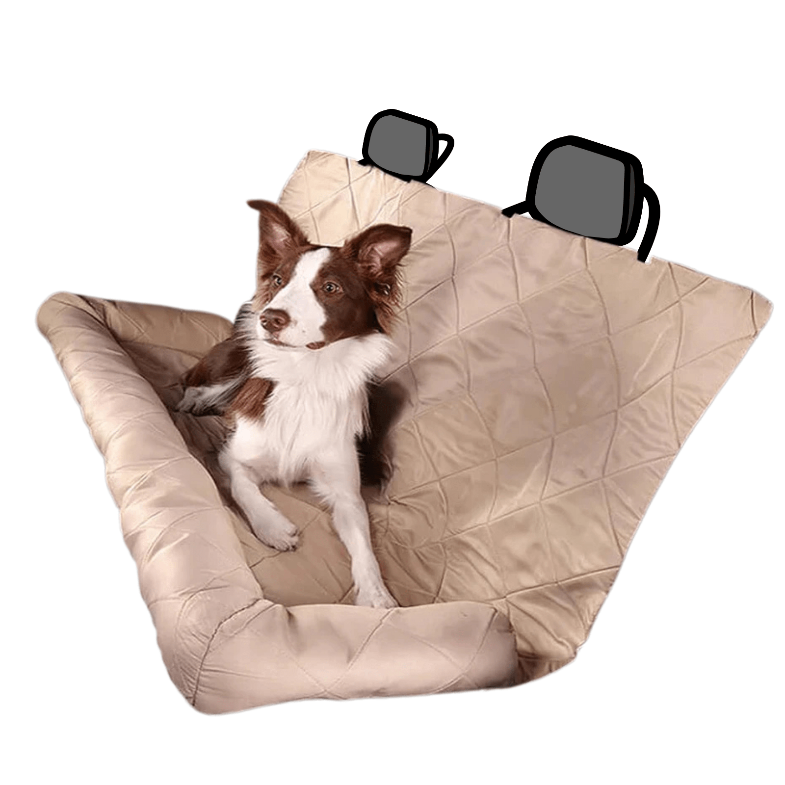 Waterdichte Autobekleding voor Honden - Duke & Scoop