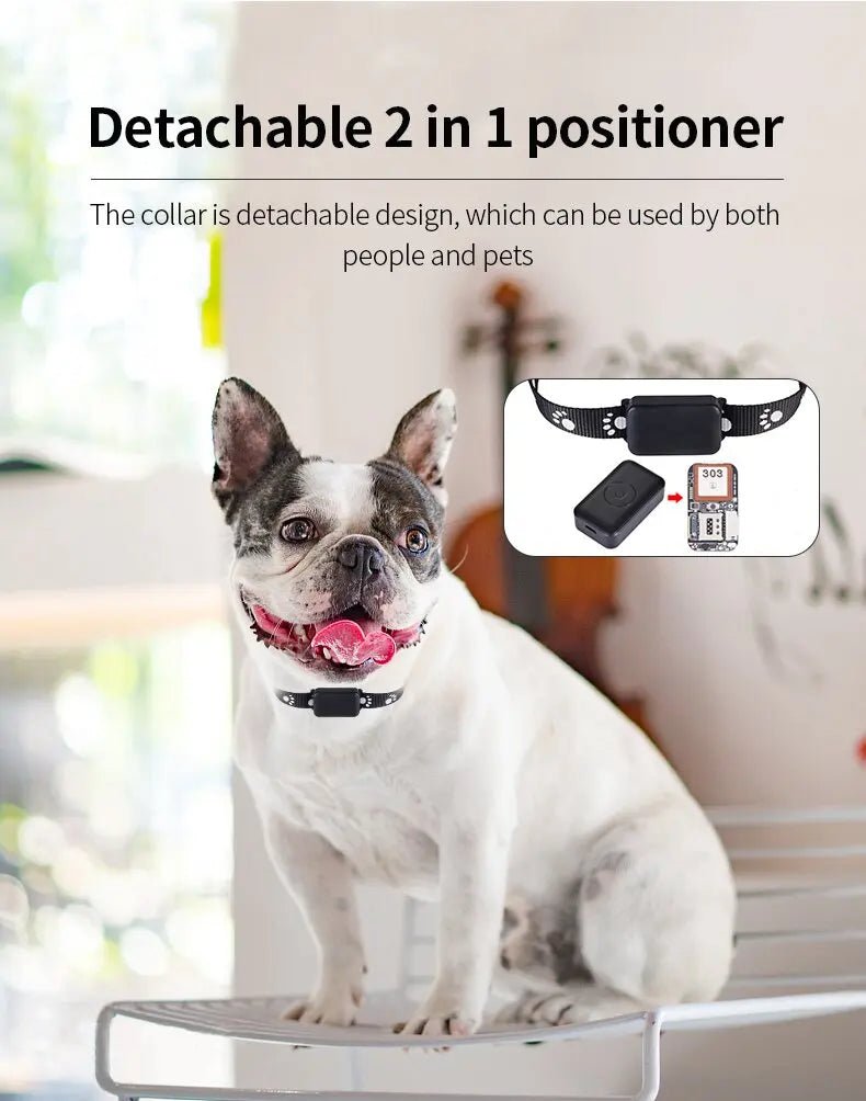 Waterdichte GPS Tracker voor Huisdieren – Verstelbare Halsband - Duke & Scoop