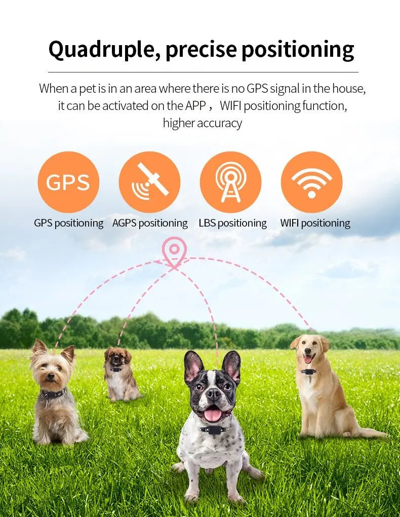 Waterdichte GPS Tracker voor Huisdieren – Verstelbare Halsband - Duke & Scoop
