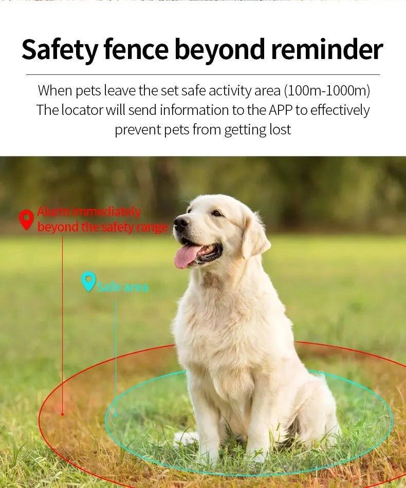 Waterdichte GPS Tracker voor Huisdieren – Verstelbare Halsband - Duke & Scoop