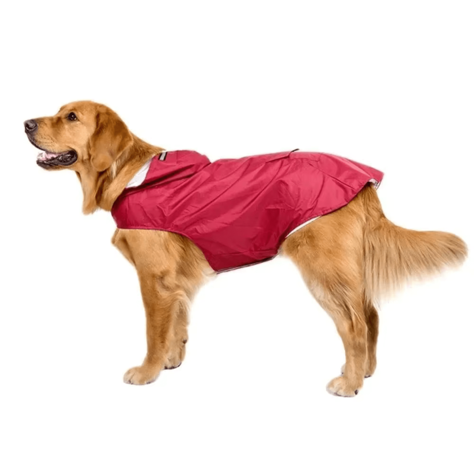Waterdichte Hondenregenjas - Bescherming tegen Regen en Wind - Duke & Scoop