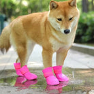 Waterdichte Huisdier Regenschoenen - Set van 4 - Duke & Scoop