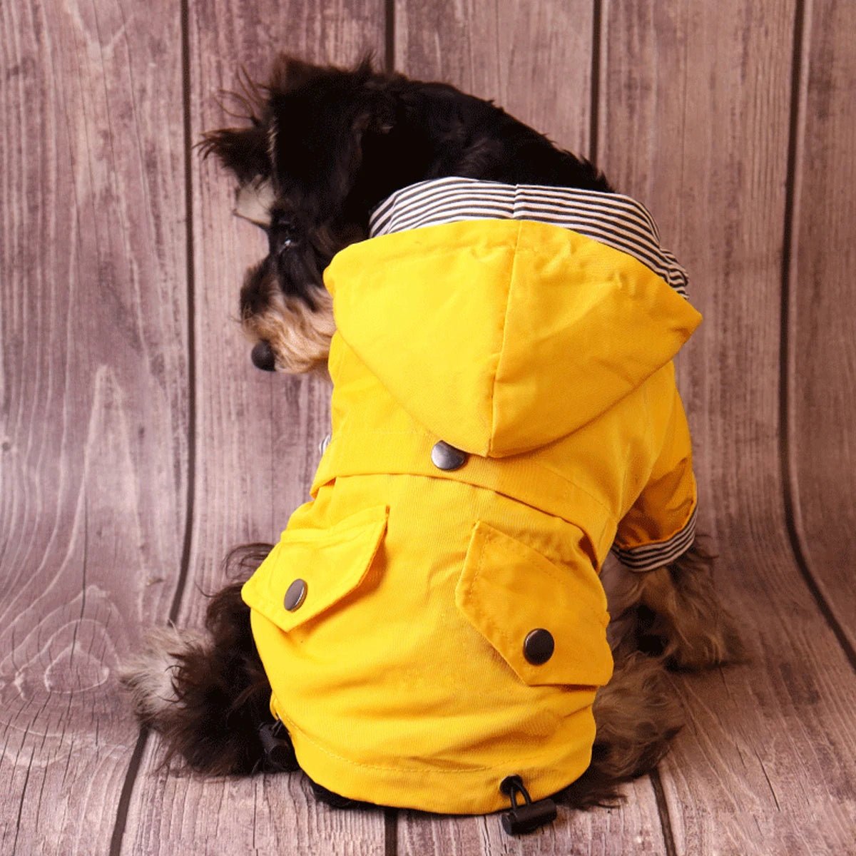 Waterdichte Regenjas voor Honden - Duke & Scoop