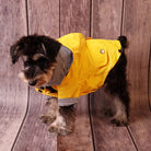 Waterdichte Regenjas voor Honden - Duke & Scoop