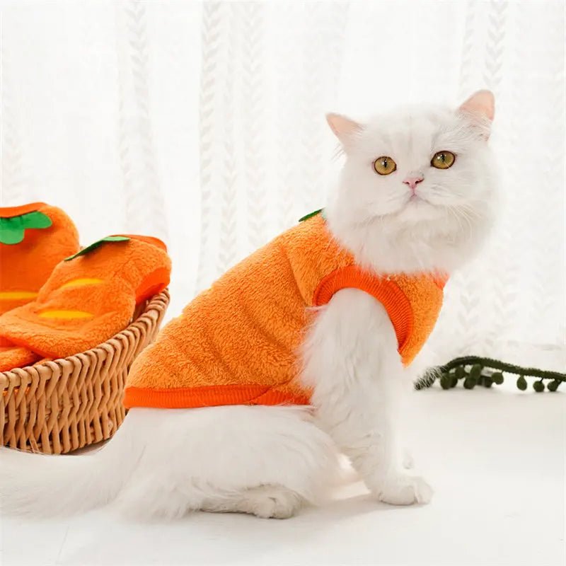 Wortel outfit voor Hond of Kat - Duke & Scoop