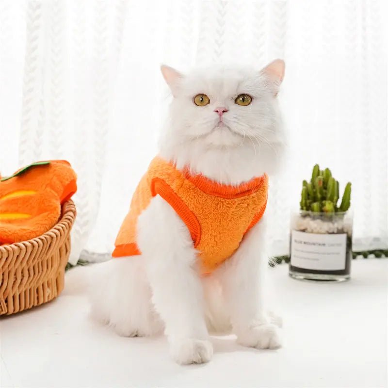 Wortel outfit voor Hond of Kat - Duke & Scoop
