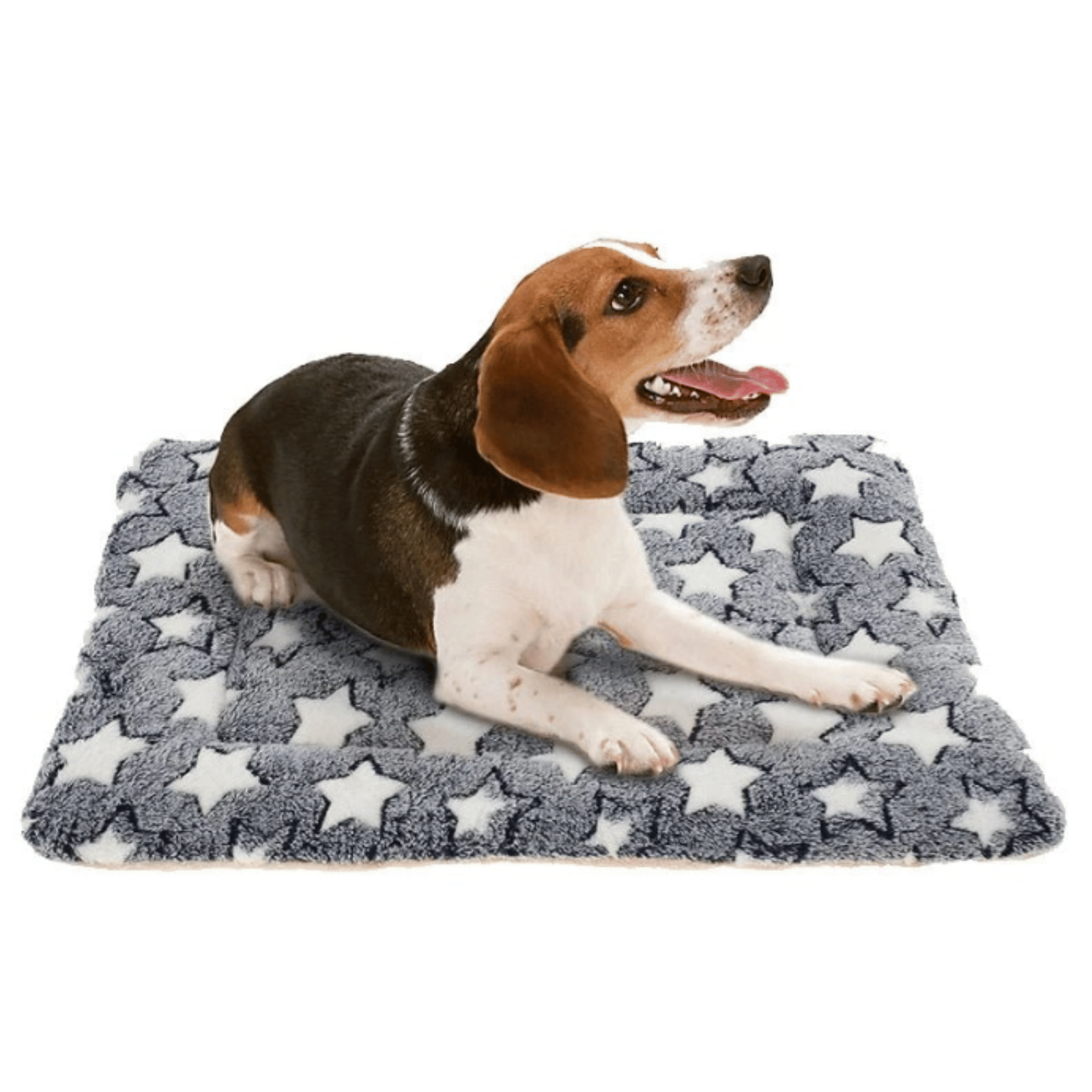 Zachte Flanellen Huisdierslaapmat – Comfortabele Hondenmand - Duke & Scoop