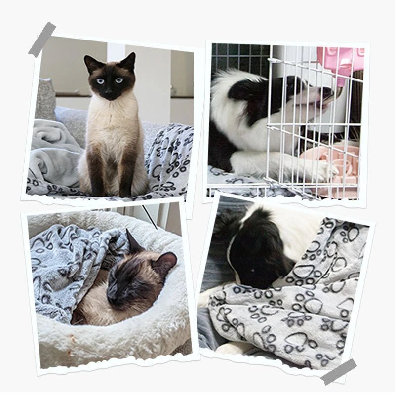 Zachte Fluffy Deken – Warm en Comfortabel - Duke & Scoop