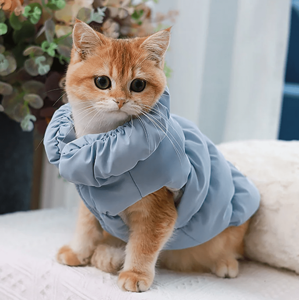 Zachte Gevoerde Huisdierenjas - Duke & Scoop